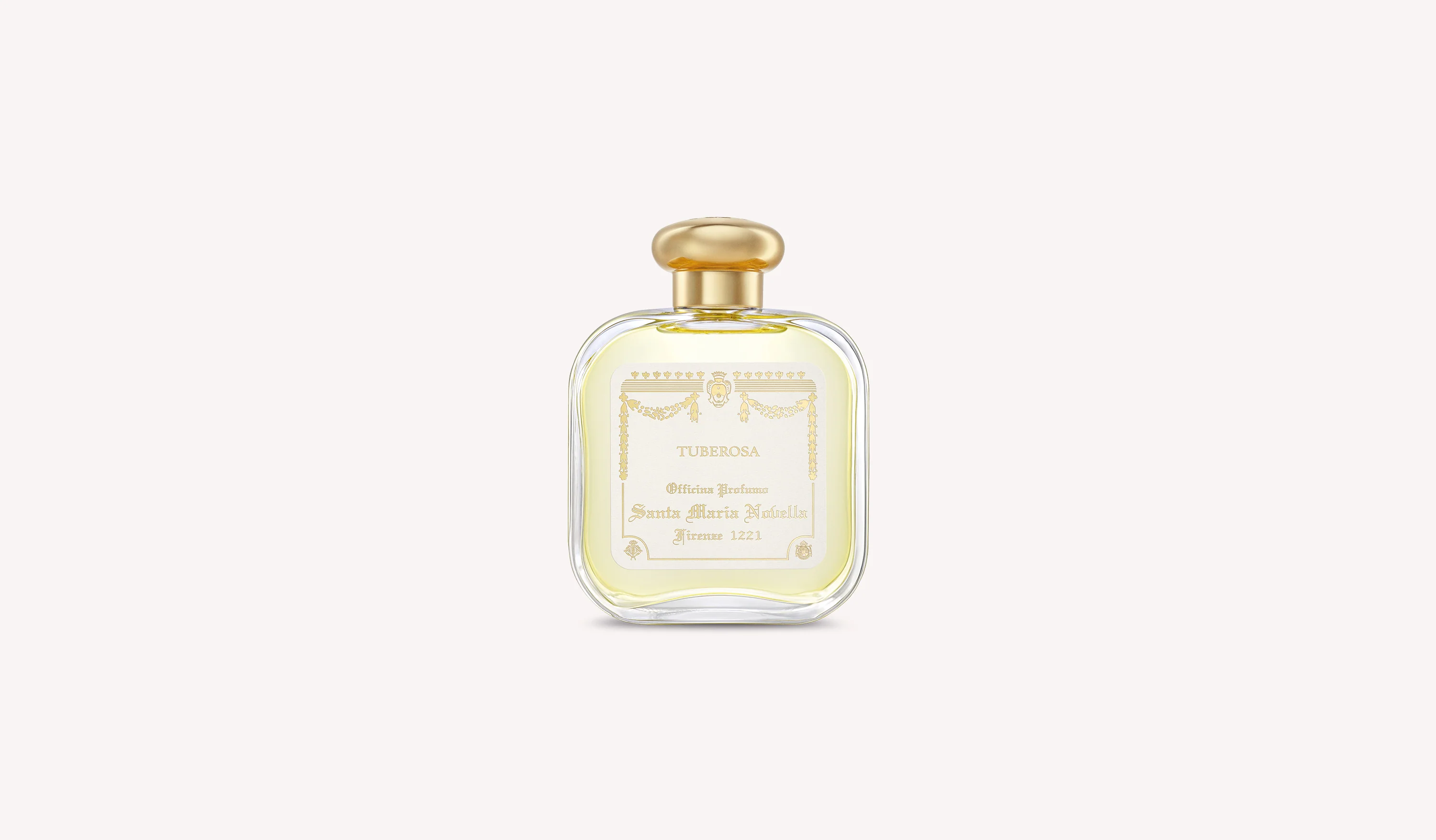 Tuberosa - Image 2