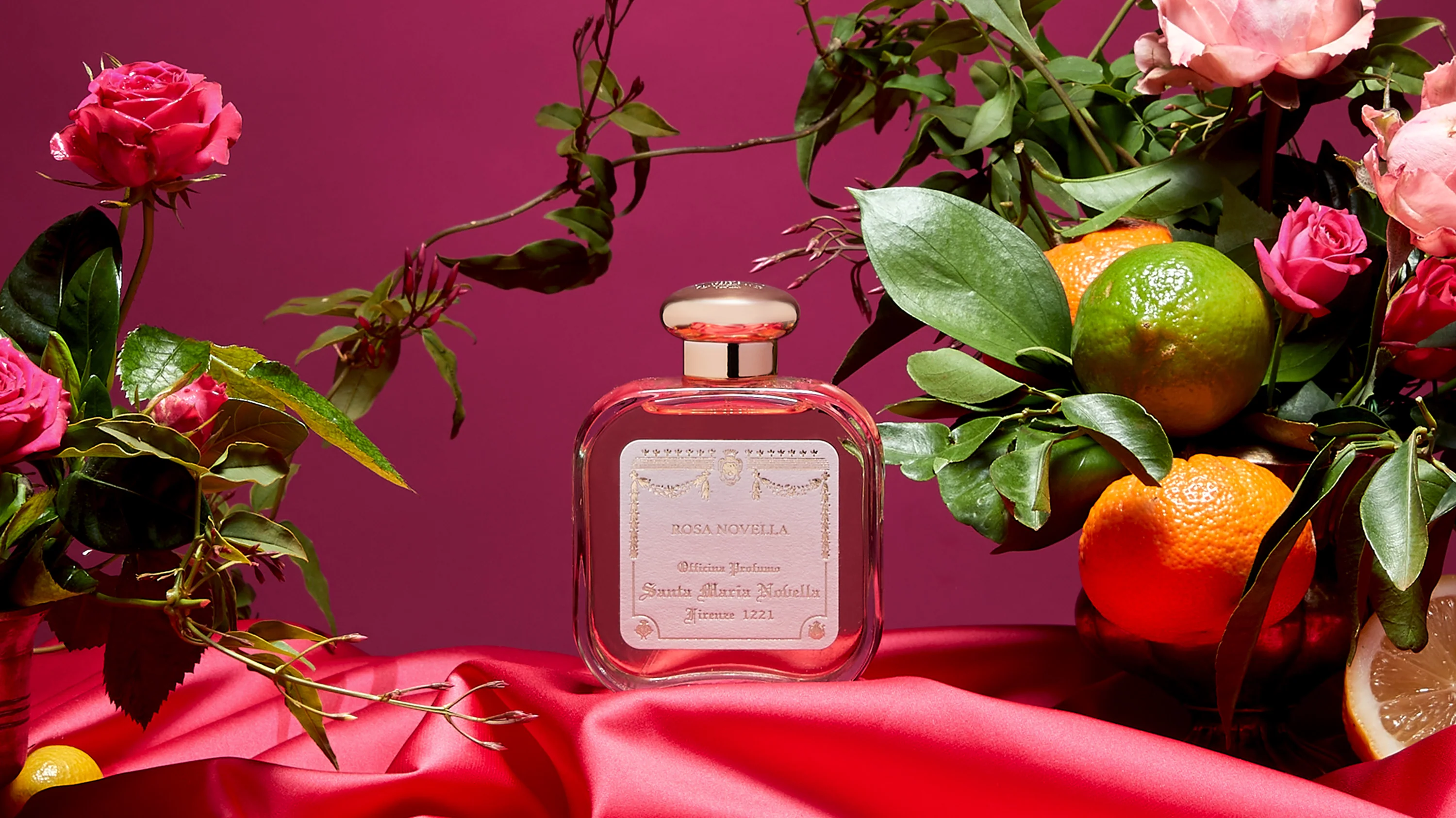 Rosa Novella - Image 3